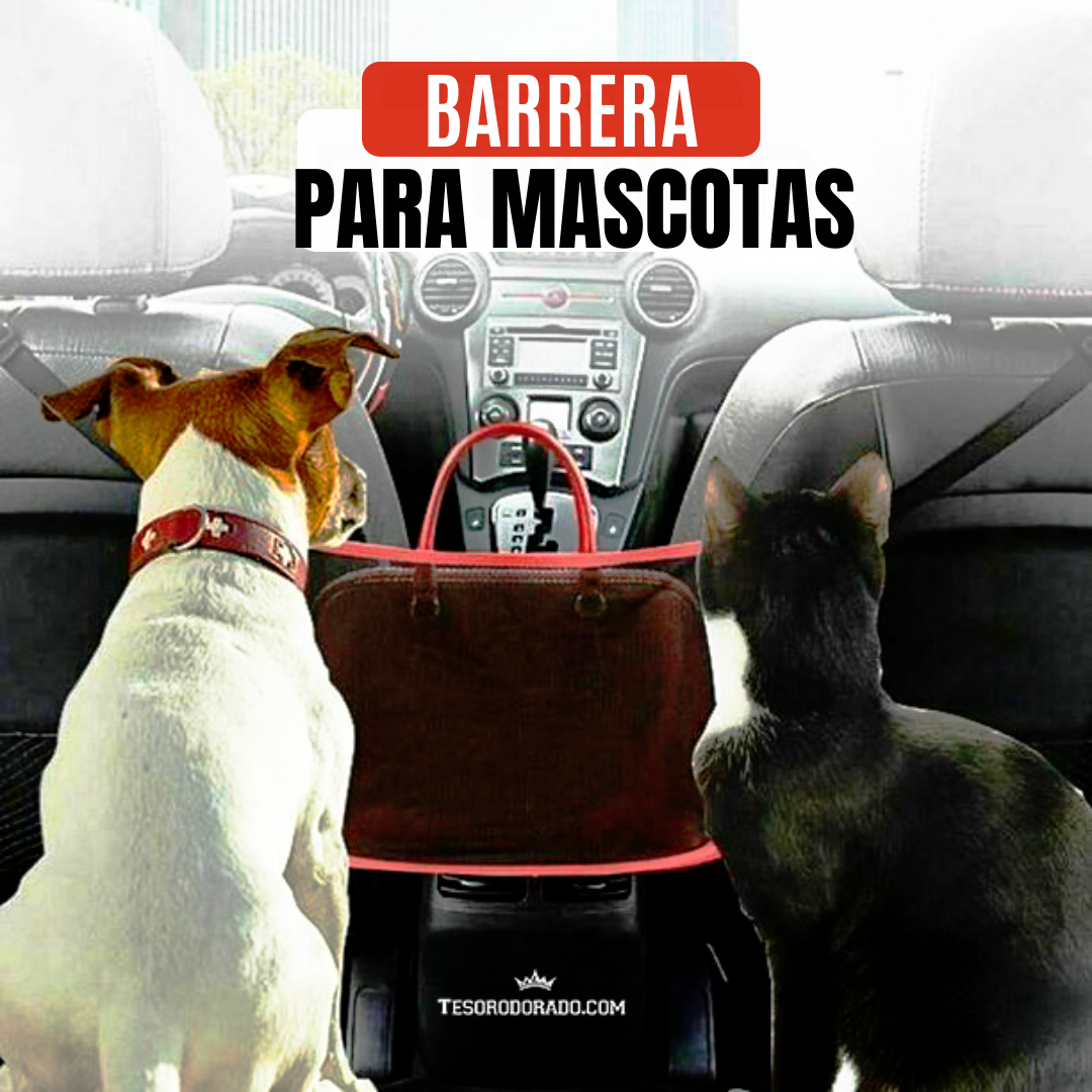 Soporte Organizador de autos para Bolsos y carteras